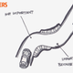 Illustration for article titled The Six Most Important Things Youll Learn At Racing School